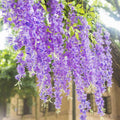 12pcs Artificial Purple Wisteria Hanging Vines