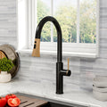 Black Kitchen Sink Faucet with Pull Down Sprayer