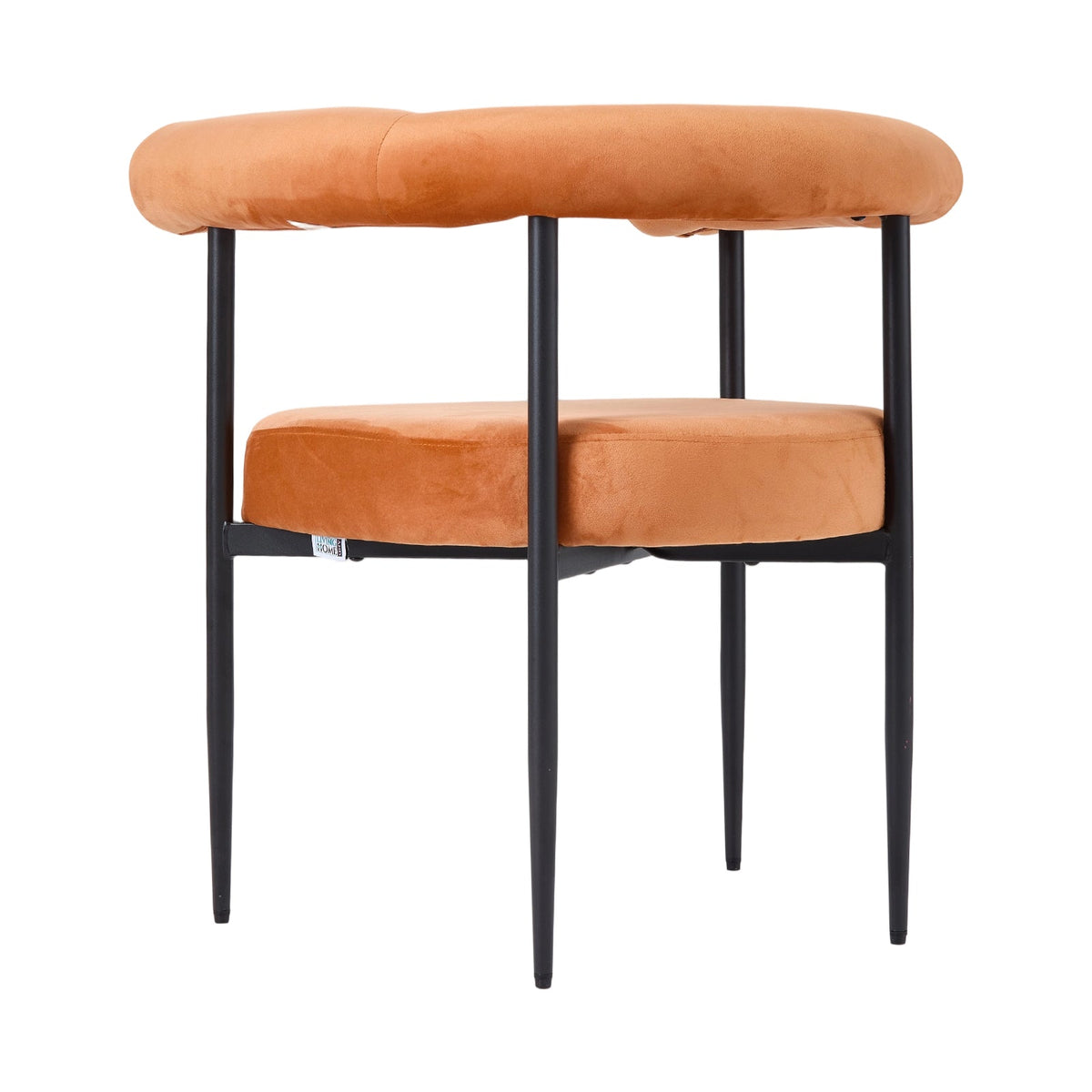 2 Pcs Modern Dining Chairs with Black Metal Legs