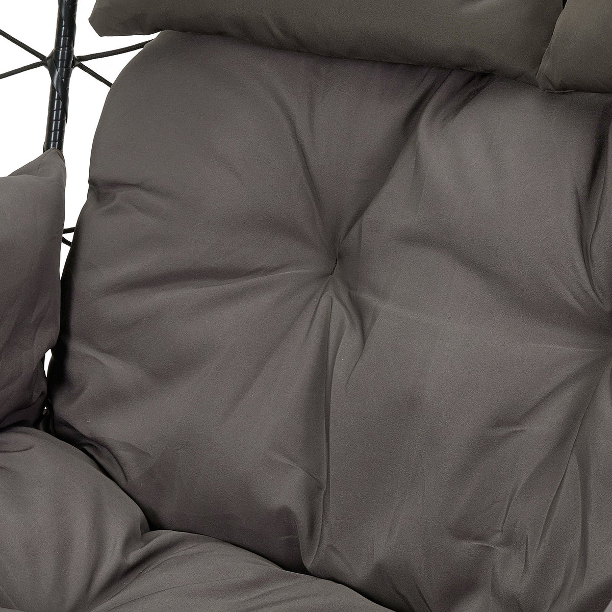 2-Seater Swing Hanging Egg Chair with Metal Stand