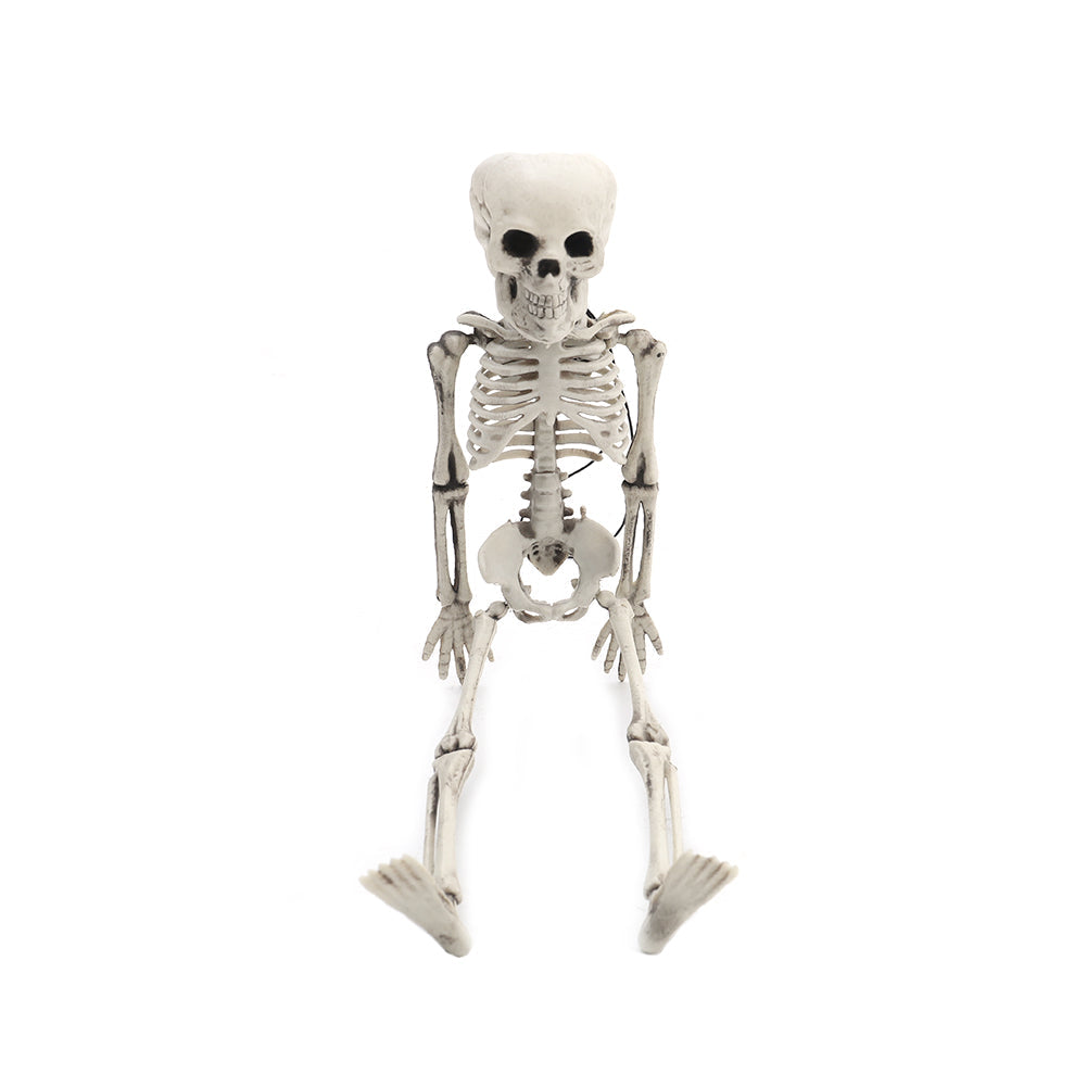 Realistic Posable Hanging Skeleton for Halloween