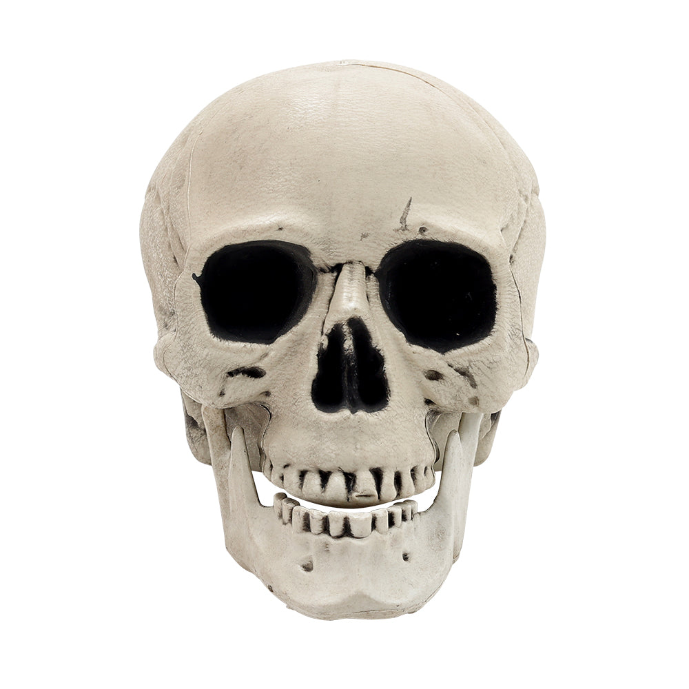 Halloween Realistic Skull and Bone Skeleton Decoration Kit